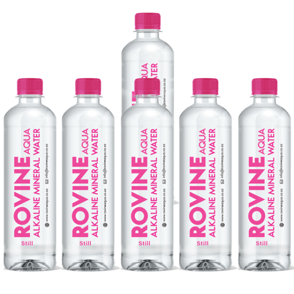 6 x 500 ml of Rovine Aqua Alkaline Water.